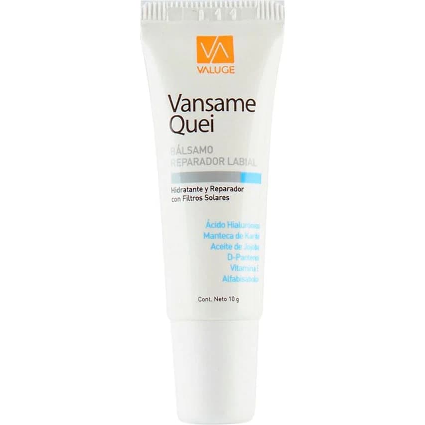 Bálsamo Reparador Labial Vansame Quei 10 g
