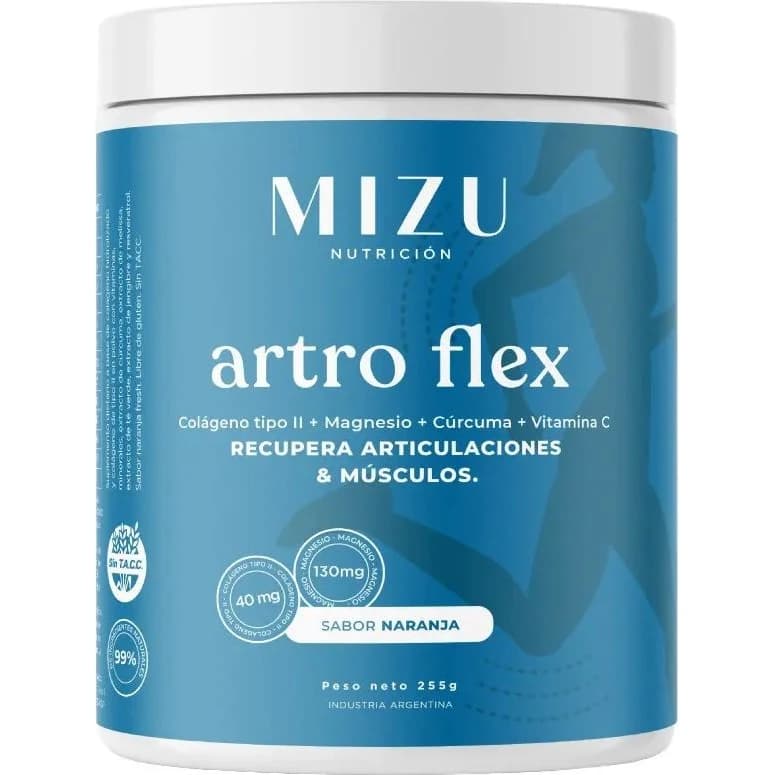 Artro Flex Recovery 255 g