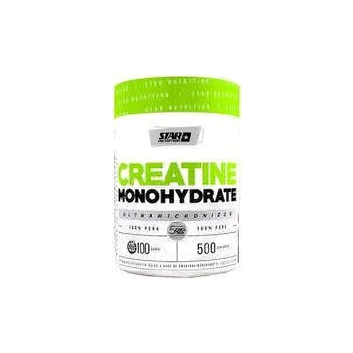 Creatina Monohidrato Star Nutrition 500 g
